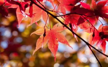 10月总结模板6篇