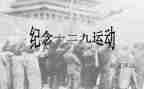 个人129活动总结优质8篇