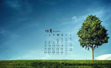 幼儿园教师12月工作总结6篇