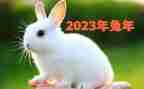 2023幼儿园德育工作总结推荐7篇
