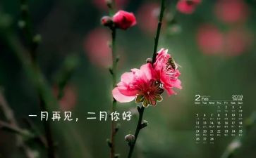 2月活动方案8篇