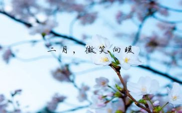 教师2月工作总结8篇