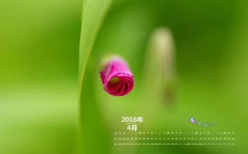 幼儿园大班4月份工作计划6篇