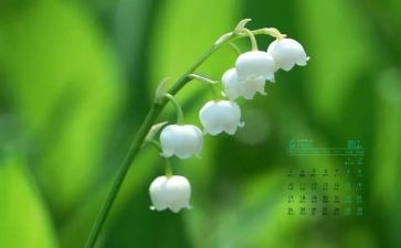 个人4月份工作总结5篇