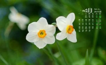 大班4月份幼儿工作计划8篇