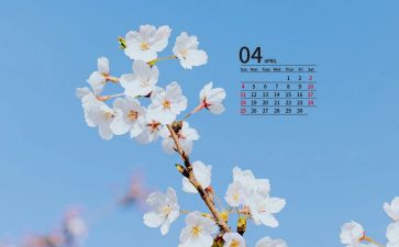 4月份小学生演讲稿6篇
