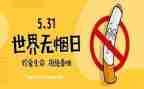 干部培训531心得体会优秀8篇