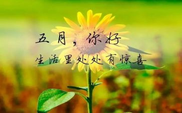 消防活动5月总结6篇