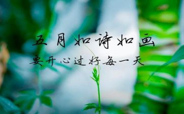 5月31日无烟日活动总结6篇