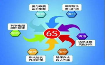 6S培训心得体会5篇