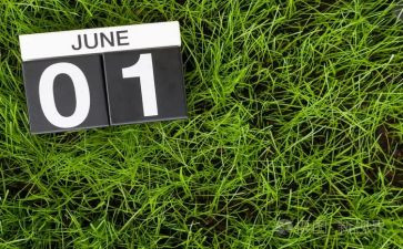 6月份销售工作计划6篇