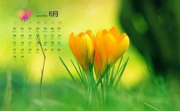 幼儿园1到6月工作总结8篇