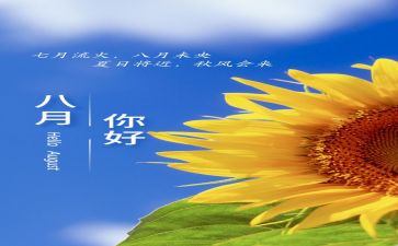 8月活动总结5篇