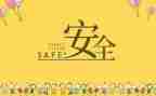 对安全的总结报告8篇