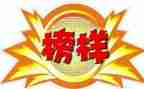 榜样的体会心得体会8篇