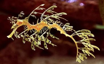 高中生物教学计划最新5篇