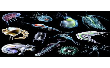 初一生物下学期工作总结8篇