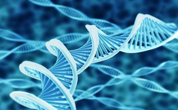 高中生物教师述职报告8篇