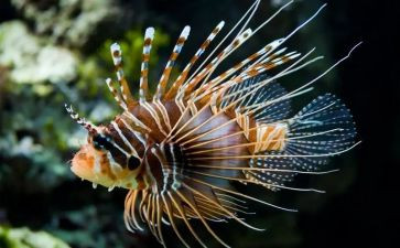 高二生物组上学期工作总结8篇