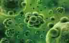 高中生物组上学期工作总结6篇