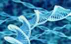 高中生物教师述职报告8篇
