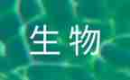 初中生物教师年度述职报告7篇