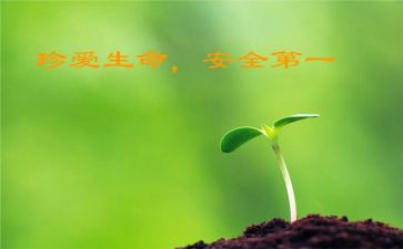 四二班级安全教育工作总结精选5篇