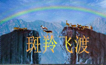 斑羚飞渡读后感8篇