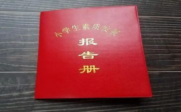 实践报告册总结6篇