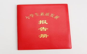 教师发展报告册个人总结6篇
