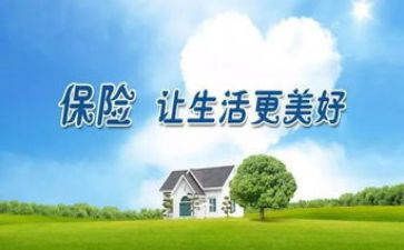 保险的代理合同模板6篇