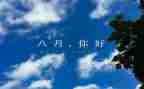 八月份的销售工作总结8篇