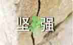 不服输的我作文5篇