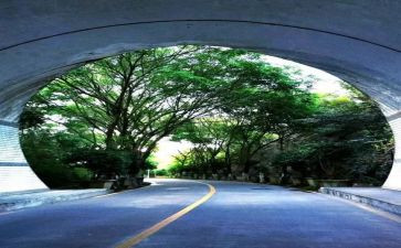我不怕困难800作文6篇
