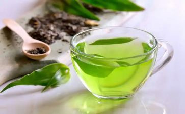 茶演讲稿范文6篇
