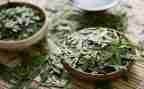茶艺课心得体会200精选7篇