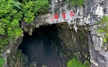 我的长生果读后感8篇