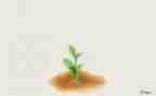 自我成长类的作文推荐7篇
