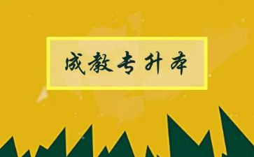 11的分解组成教案模板6篇