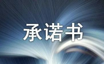 质量安全承诺书精选7篇