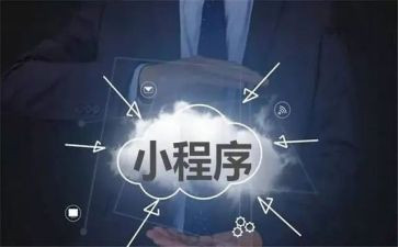 程序年度工作总结最新6篇