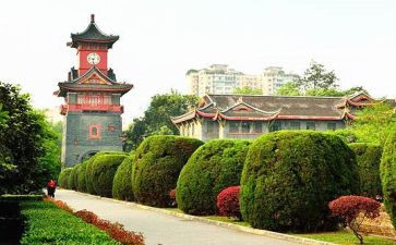 川大毕业实习报告优质5篇