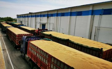 2024年粮食储备库工作总结7篇
