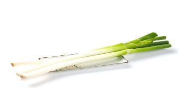 葱主题活动总结模板6篇