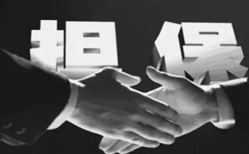 借款担保合同5篇