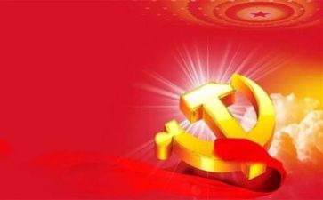 个人年度党务工作总结7篇