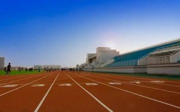 大专会计自我鉴定最新5篇