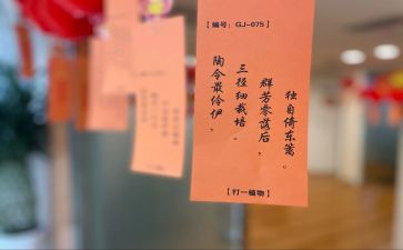 社区开灯谜活动总结5篇