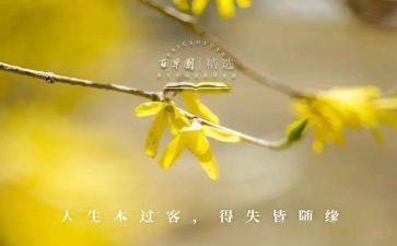 得与失作文600字优质5篇