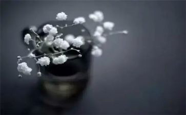 得与失作文800字精选5篇